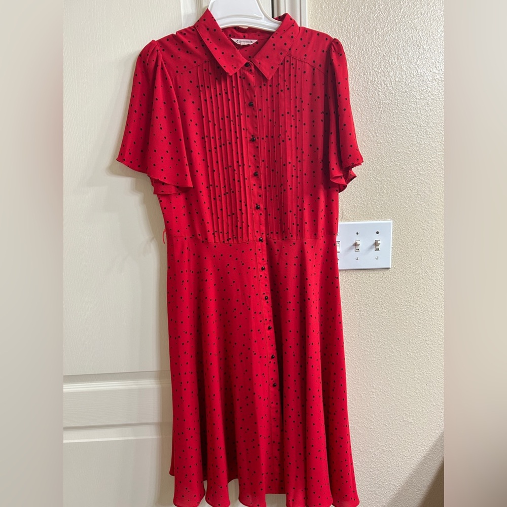 Beautiful red and black polka dress.